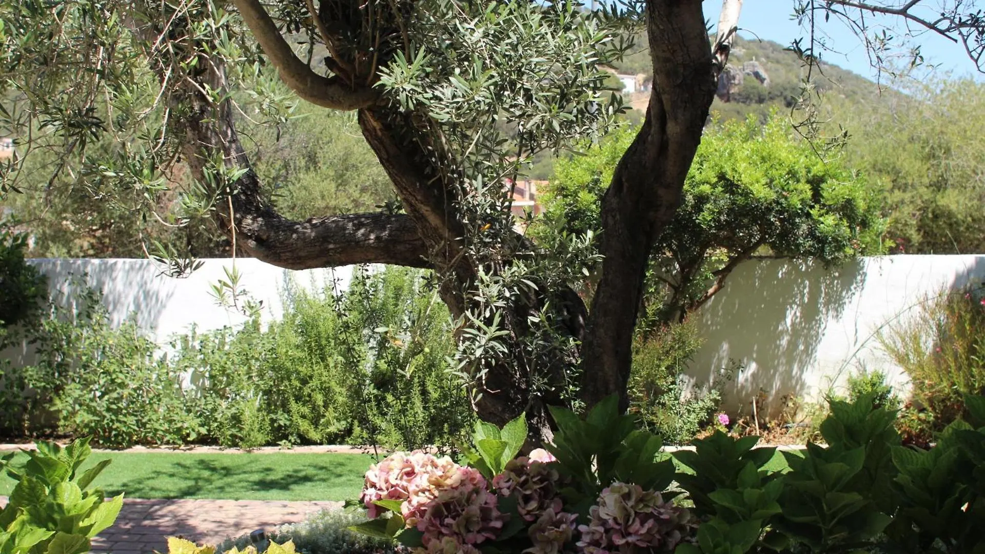 Bed & Breakfast Giobo Rooms Siniscola